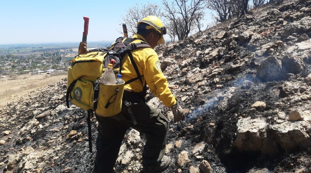 Casi 30 mil hectáreas afectadas por incendios forestales