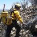 Casi 30 mil hectáreas afectadas por incendios forestales