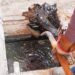 Alcaldesa hace un último llamado a no tirar basura en drenajes y alcantarillas