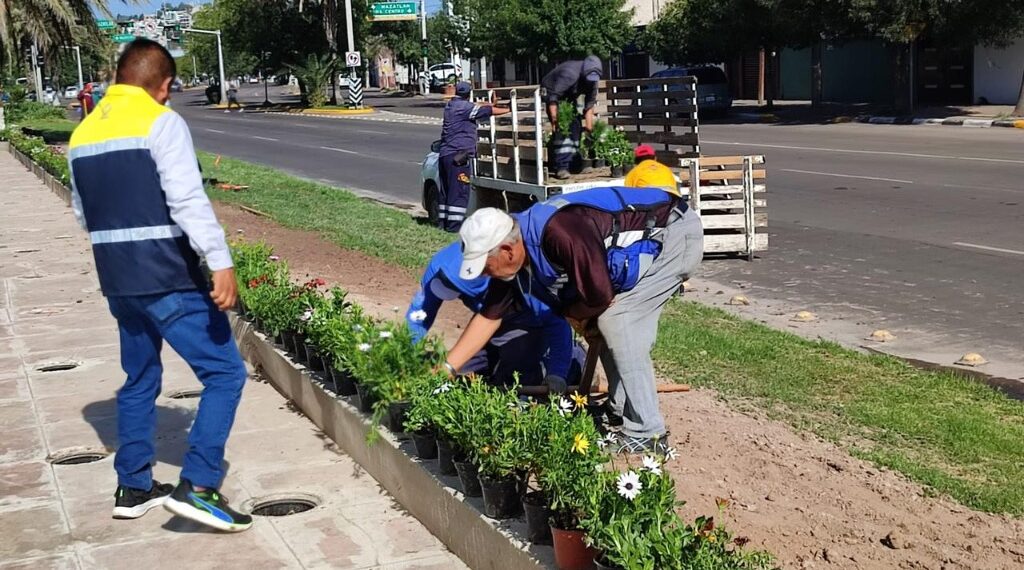 Son vida y alegría los jardines de Durango con 50 mil plantas nuevas: Toño Ochoa