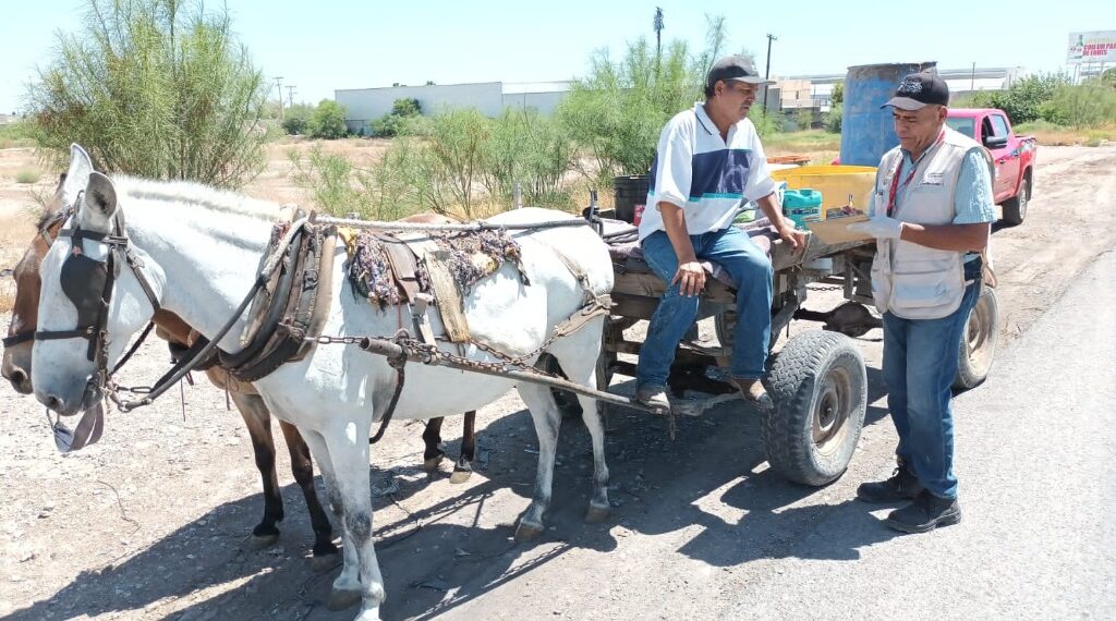 Brindan asesoría a carromateros para el cuidado de sus animales