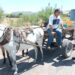 Brindan asesoría a carromateros para el cuidado de sus animales