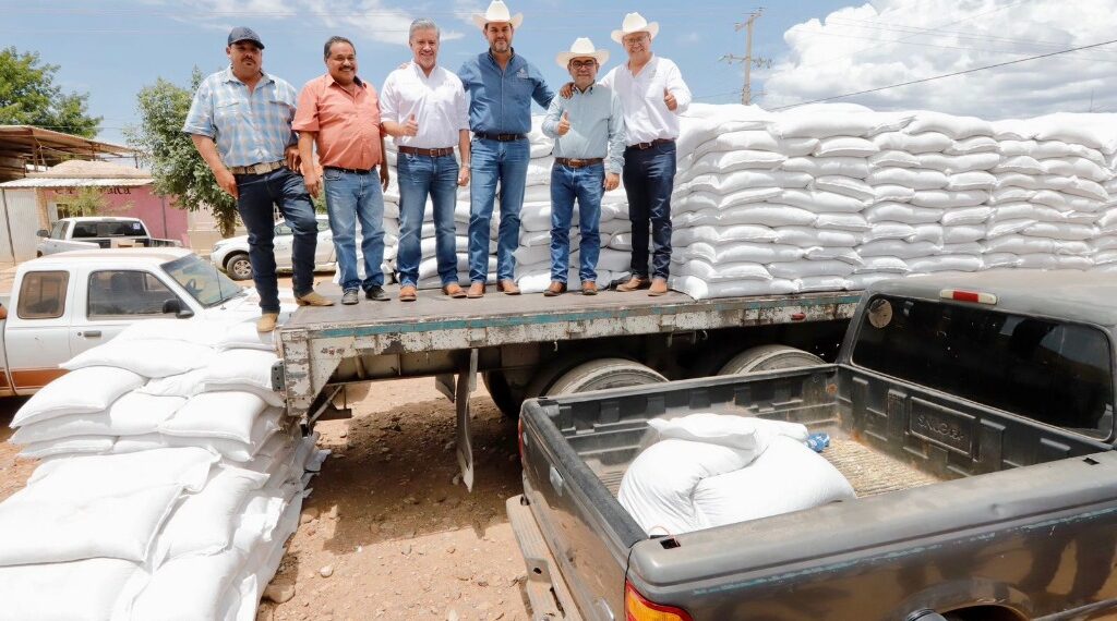 Gobierno de Esteban le cumple a campesinos con semilla de frijol para 15 municipios