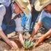 Fortalece Gobierno de Esteban producción de mezcal con entrega de 120 mil plantas de agave