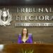 Tribunal Electoral sigue a la espera de designación de un Magistrado por parte del Senado