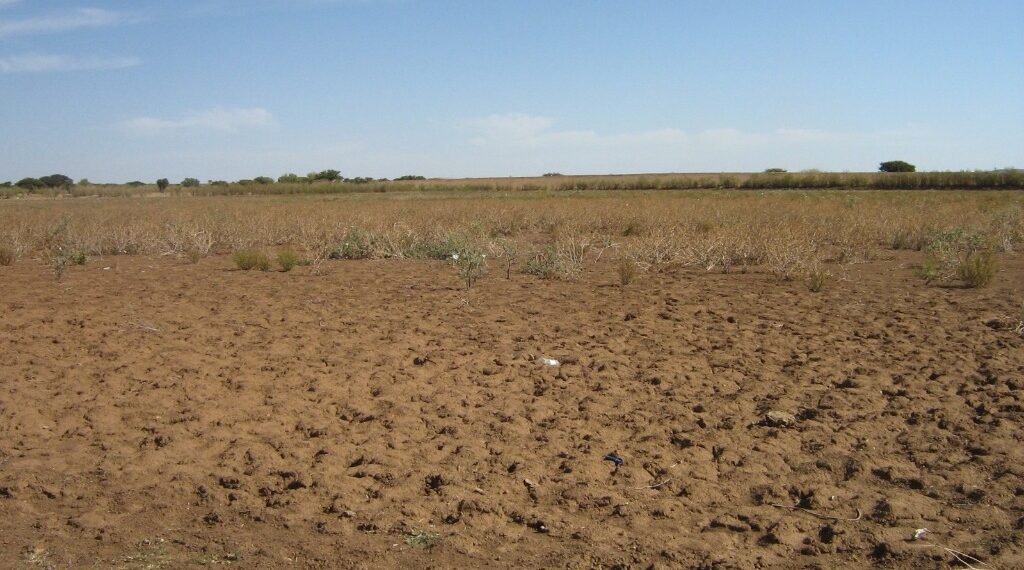 Sequía afectará económica y alimentariamente a un 33% de la población duranguenses