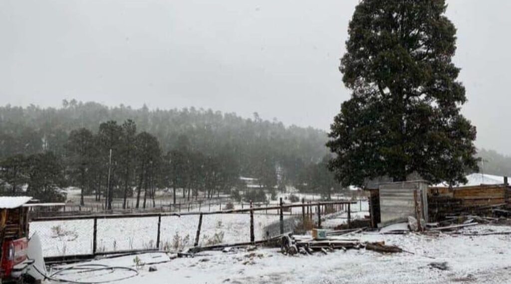 Confirman nevadas en dos municipios; descartan que se extienda a otras regiones