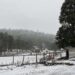 Confirman nevadas en dos municipios; descartan que se extienda a otras regiones