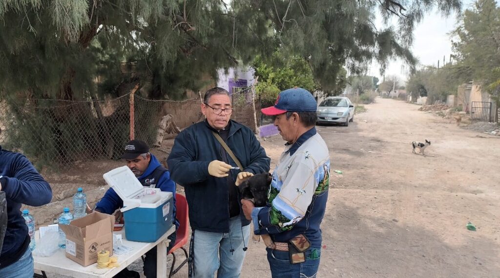 Llevan a colonias y ejidos brigadas de vacunación y desparasitación de mascotas