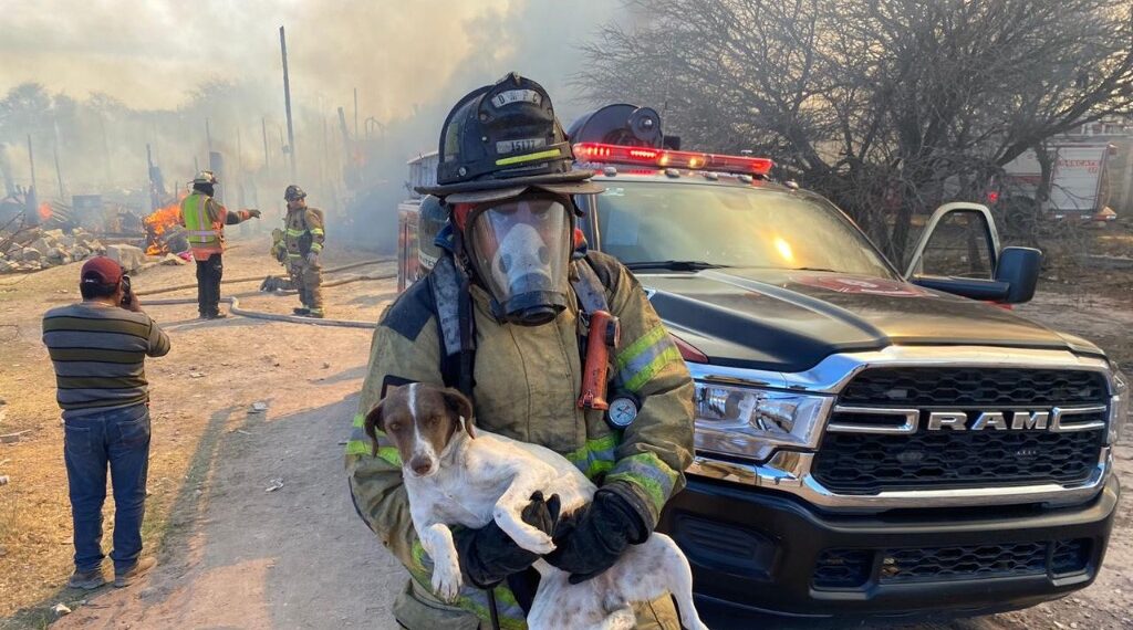 Mueren calcinados 4 perritos en incendio de zona popular que consumió 20 jacales