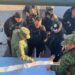 Ante enfrentamientos en la sierra de Pueblo Nuevo, Secretaría de Seguridad realiza intenso operativo