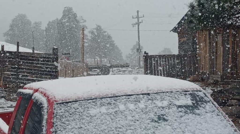 Reportan nevadas en 6 localidades de la Sierra de Durango