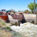 No está permitido nadar en canales de riego de Gómez Palacio