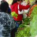 Comerciantes detectan aumento del 15 por ciento a la canasta básica en solo una semana