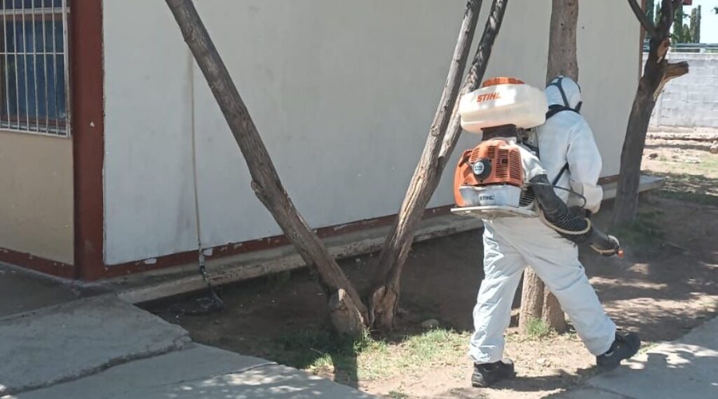 Fumigan escuela donde se detectó fauna nociva