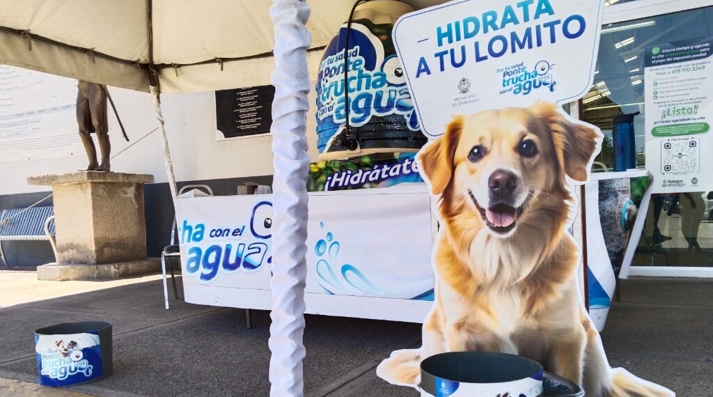 Cuida el Gobierno Municipal a las mascotas de los duranguenses con la instalación de bebederos.