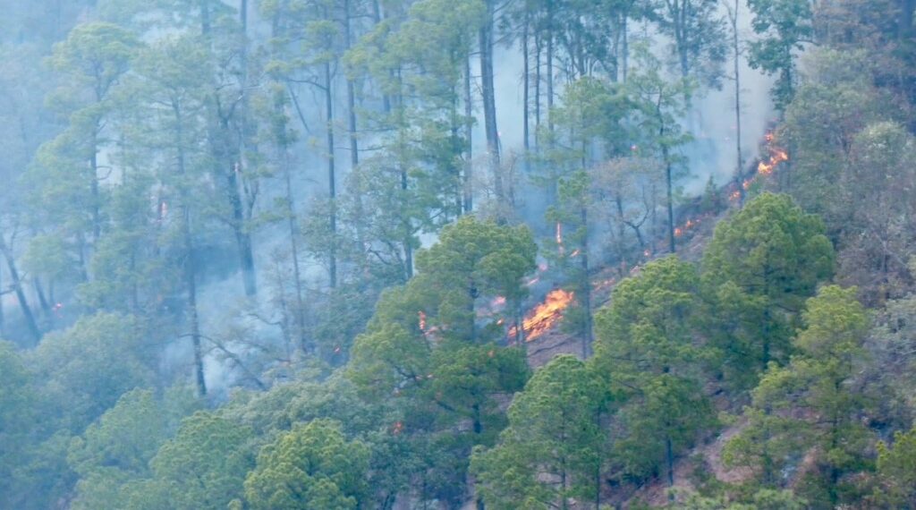 Sin escatimar esfuerzos y recursos se combaten incendios; pide Gobernador Esteban priorizar los registrados de San Dimas; no hay afectaciones en poblaciones.