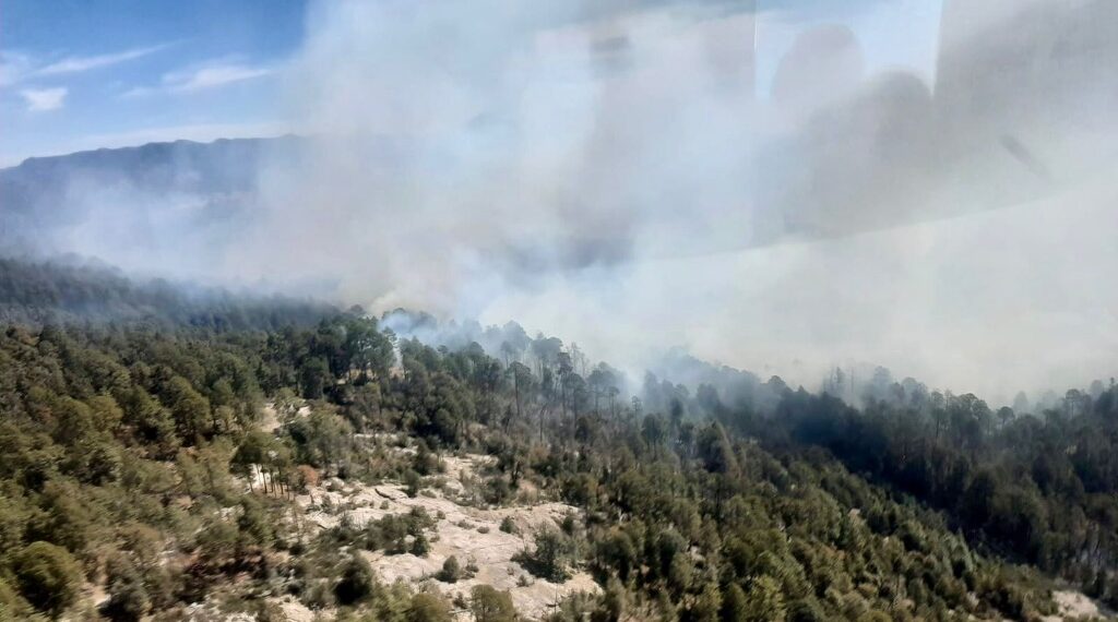 Hay más incendios forestales en 2024, pero menor superficie afectada