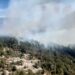 Hay más incendios forestales en 2024, pero menor superficie afectada
