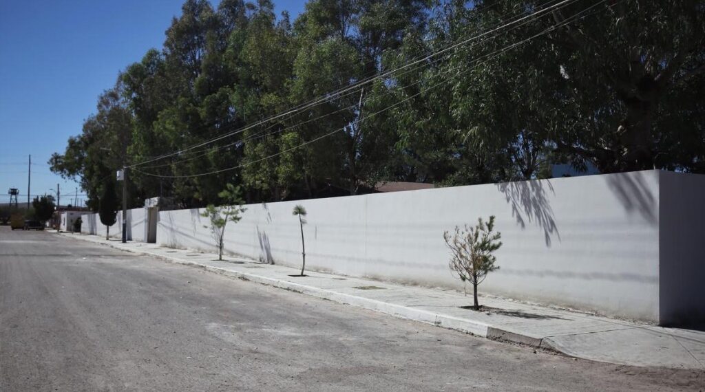 Cuidamos los sueños de Durango con más obras del Presupuesto Participativo: Toño Ochoa