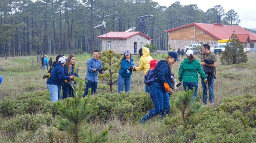 Para aprovechar las lluvias, Gobierno Estatal reforesta parajes turísticos afectados por incendios