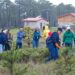 Para aprovechar las lluvias, Gobierno Estatal reforesta parajes turísticos afectados por incendios