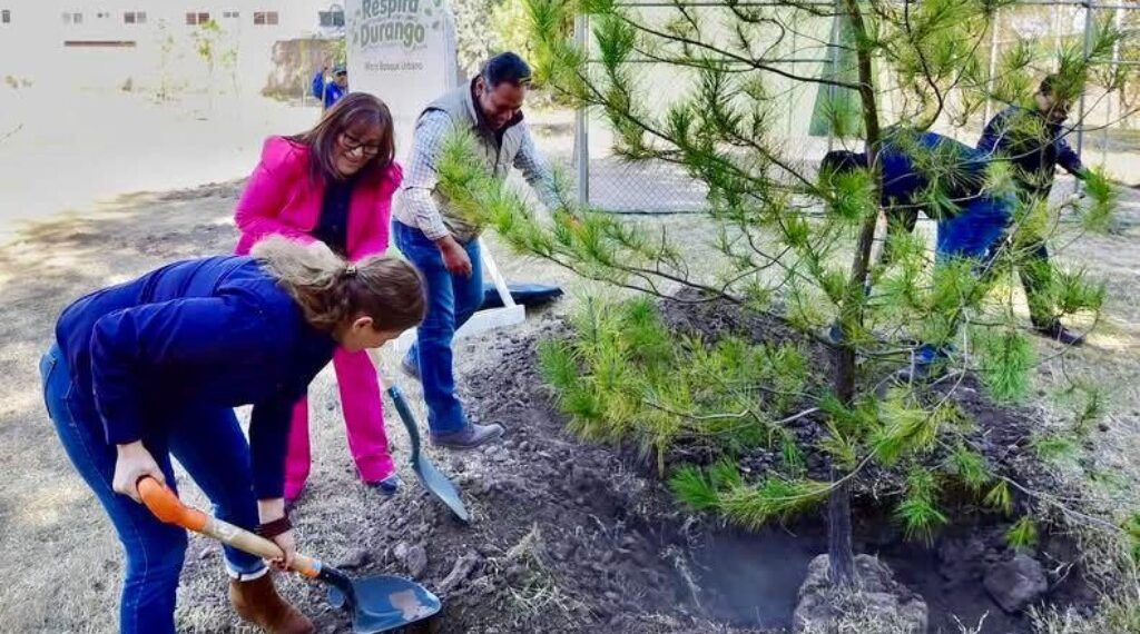 Impulsa Durango un futuro más verde con microbosques y reforestación