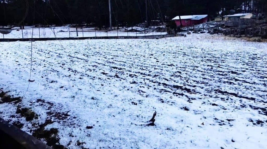 Activan albergues municipales ante pronóstico de nevadas para esta semana