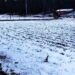 Activan albergues municipales ante pronóstico de nevadas para esta semana