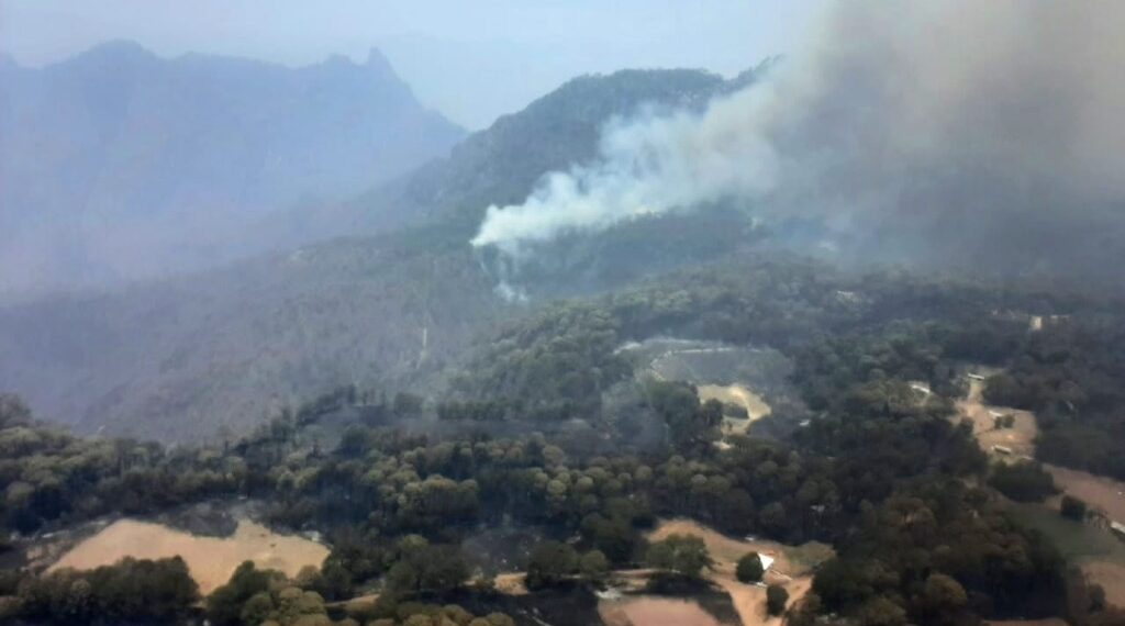 SRNyMA registró 364 incendios forestales durante el 2024