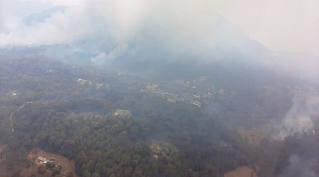 Durango registra 15 incendios forestales en lo que va del año con 200 hectáreas afectadas; prevén año crítico por intenso calor