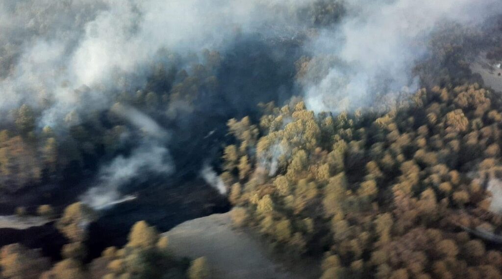 Se duplica cifra de incendios forestales con respecto al 2024; prevén aún más siniestros