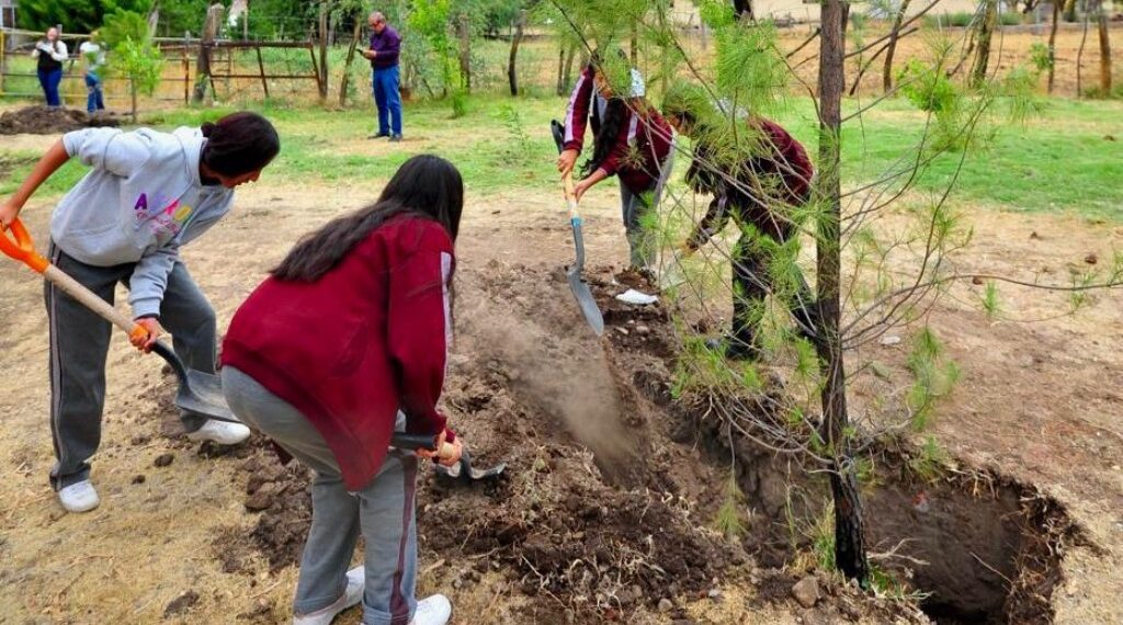 Conciencia ciudadana sobre reforestación superó a las autoridades; perciben descuido de espacios públicos