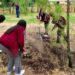Conciencia ciudadana sobre reforestación superó a las autoridades; perciben descuido de espacios públicos