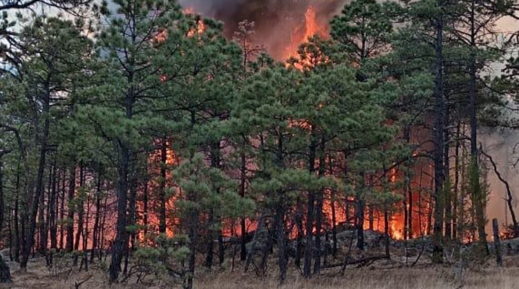 Durango registra cifras históricas en incendios forestales durante el 2025