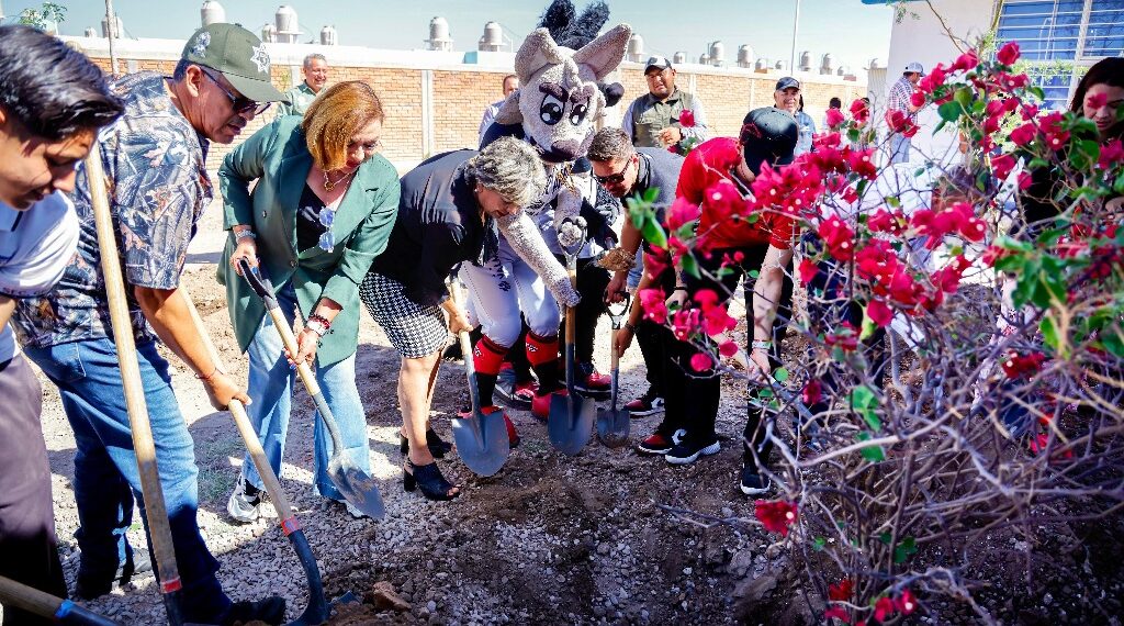 En equipo hacemos de Durango una ciudad más verde: Gobierno Municipal