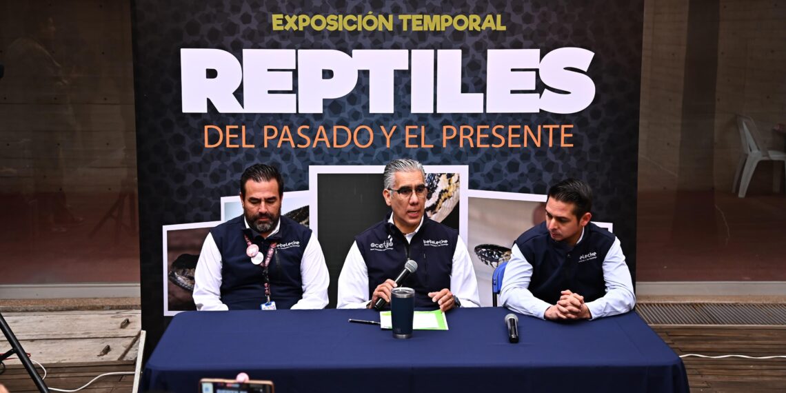 Invita Bebeleche a disfrutar de su 16.º Aniversario con la Exposición Temporal de Reptiles del pasado y presente
