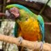 Protege el Sahuatoba a sus huéspedes del frío con cuidados especiales