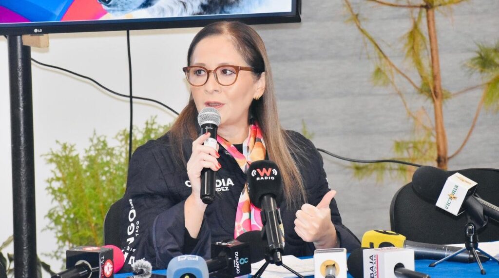 Reportan avances en proyecto de reintroducción de lobo mexicano en territorio duranguense