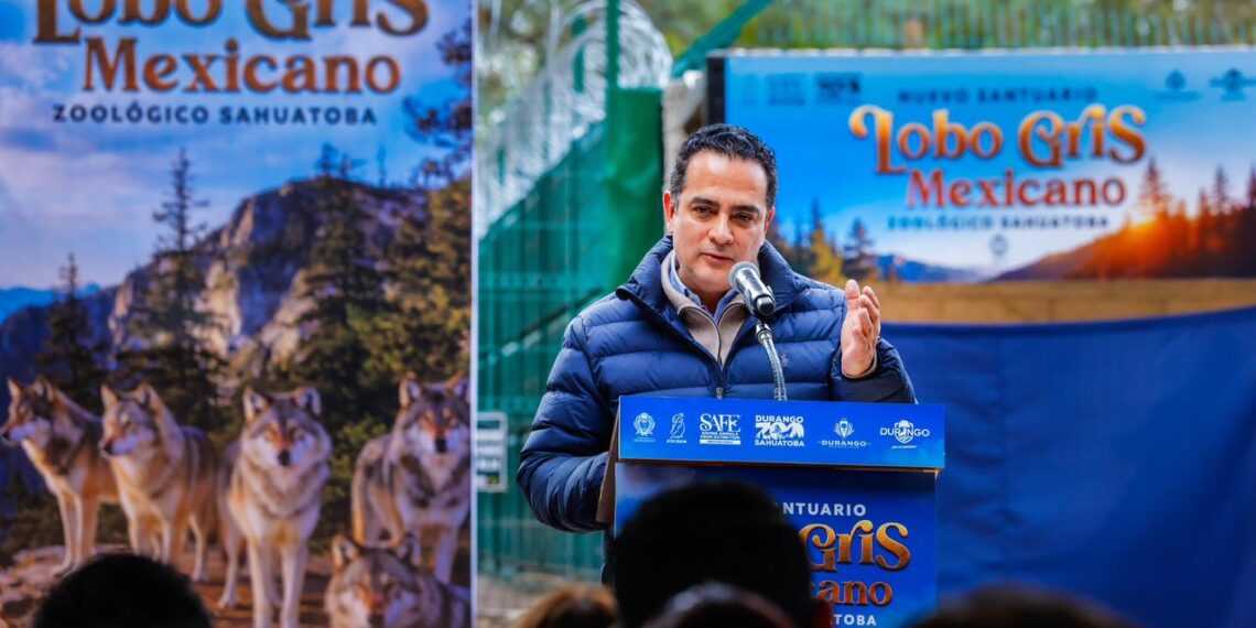 Inaugura Toño Ochoa nuevo santuario del lobo mexicano. Durango el epicentro de la conservación de esta especia
