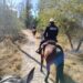 Cuida Gobierno Municipal el orden y la tranquilidad en poblados rurales.