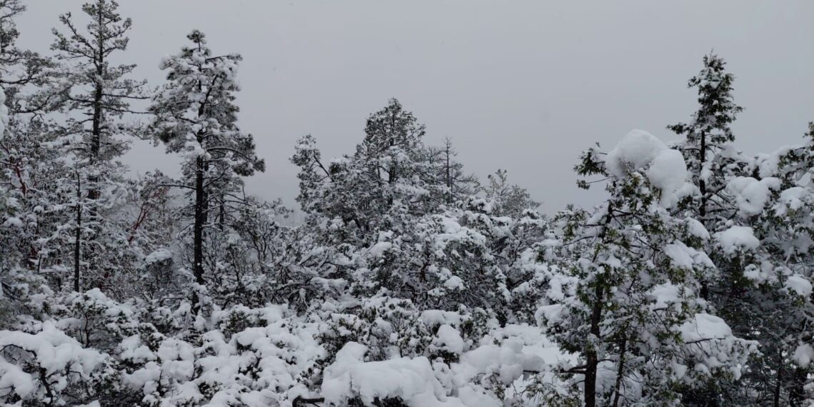 Gobierno del Estado mantiene monitoreo por lluvias, viento y nieve en Durango