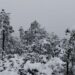 Gobierno del Estado mantiene monitoreo por lluvias, viento y nieve en Durango