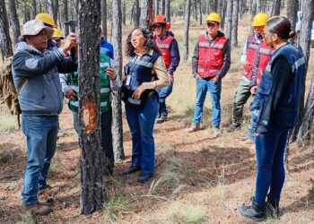 ¡Cuidaremos bien el bosque!: Desarrollo Rural Municipal