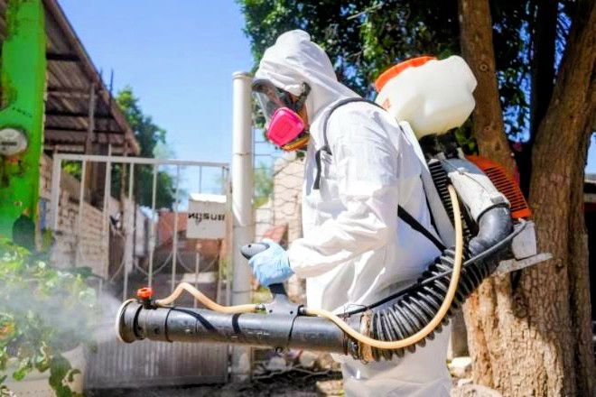 Alerta tras lluvias: llaman a eliminar criaderos de mosquitos para prevenir dengue en Gómez Palacio