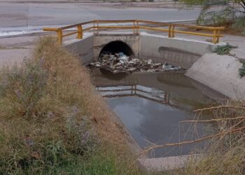 Drenaje de Gómez Palacio, convertido en basurero: retiran 350 toneladas en siete meses