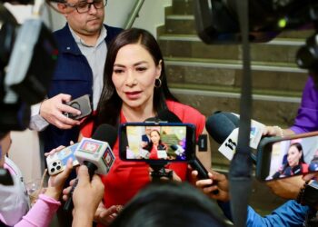 Los programas sociales son usados por Morena con fines políticos rumbo a próximas elecciones: Dany Soto