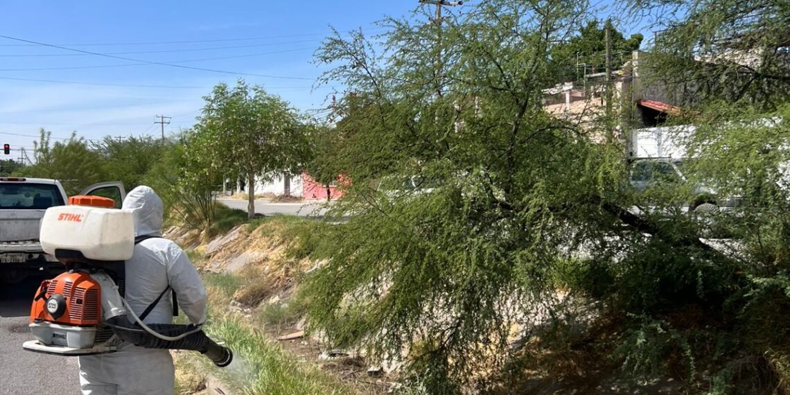 Gómez Palacio intensifica ofensiva contra dengue y rickettsiosis con fumigación en colonias y ejidos