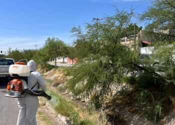 Gómez Palacio intensifica ofensiva contra dengue y rickettsiosis con fumigación en colonias y ejidos