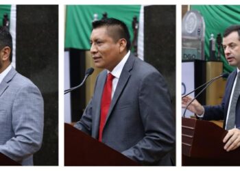 Diputados alzan la voz a favor del sector forestal